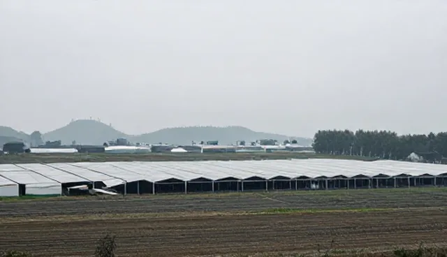 软件测试中常见误区解析与正确使用维护方法