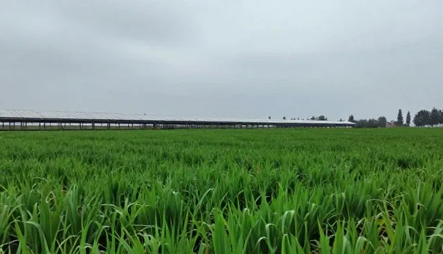 水管知识在短视频运营中的适用情况与限制