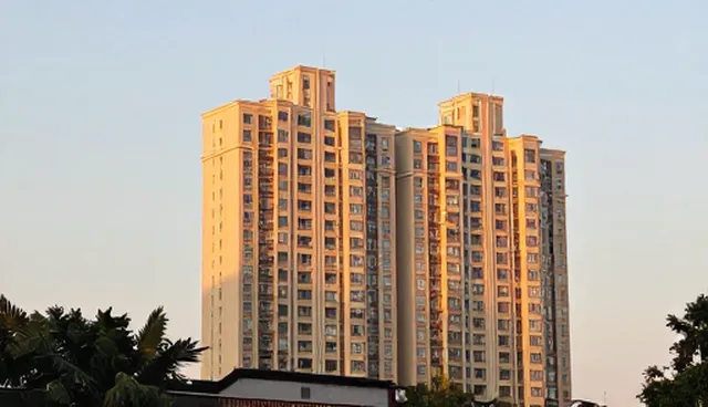 门诊服务如何通过医疗技术优化就诊流程