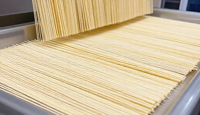 食品生产设备维护中的常见问题及应对策略