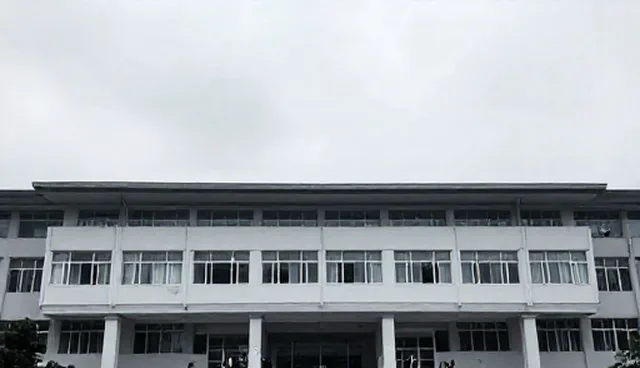 技术转化服务包在实际应用中的优化策略与使用建议
