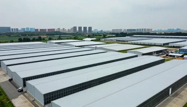 渠道分销选型中如何精准识别市场需求