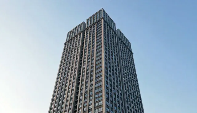 本地技术服务适用条件及选择依据分析