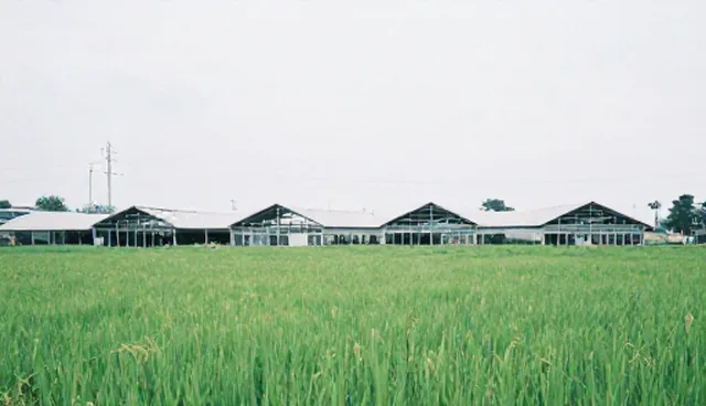 高端网站设计建站：助力企业推广套餐A的供应采购升级