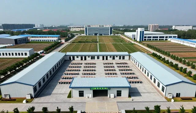 如何高效利用教务管理服务实现个性化教学
