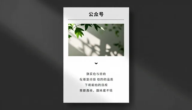 电商运营中转化率低的常见问题及应对策略