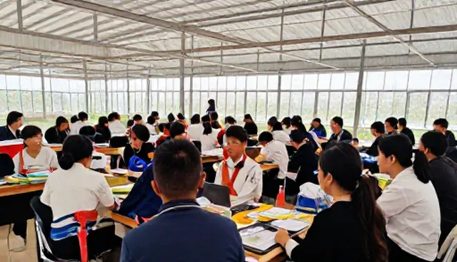 幼儿园管理中教育软件应用为何频现操作难题