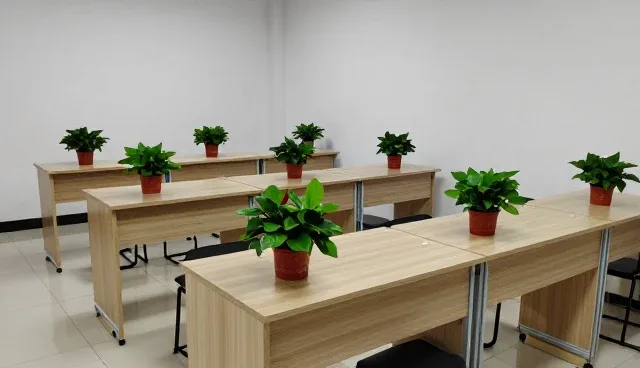 教学设计中考试辅导的选型与使用建议