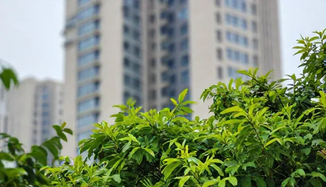 系统集成选型中网站速度优化的实践与挑战