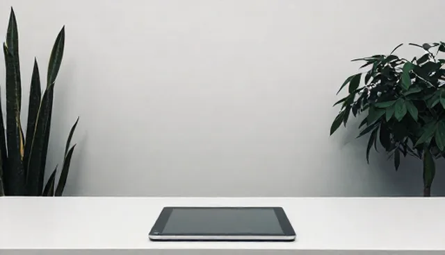 系统稳定性受技术支持影响的具体原因分析