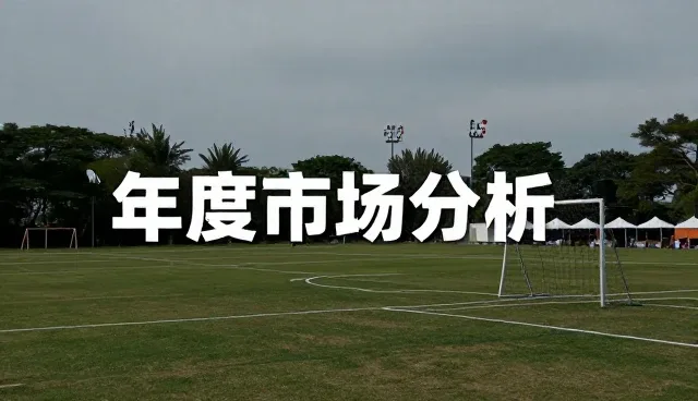 信息咨询业务对接：性能与适用条件分析