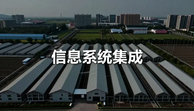软件使用与维护中的常见问题及应对策略