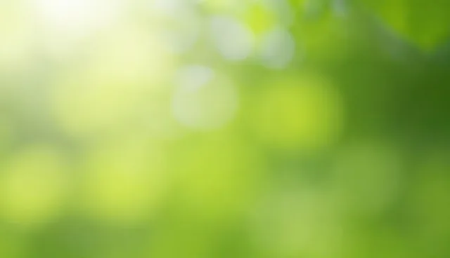 家政服务保洁影响因素检查要点解析