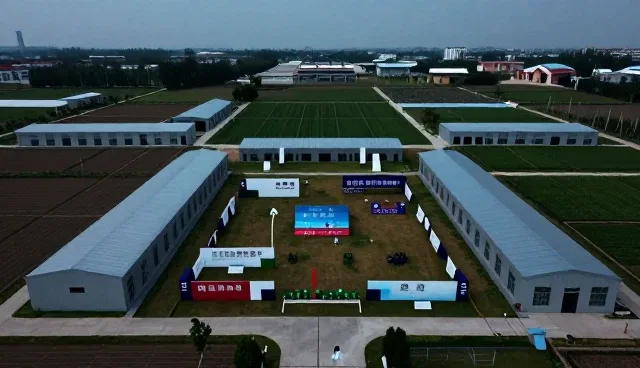 构建高效团队：组织效能提升的关键实践