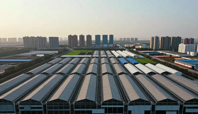 个人用户如何通过应用开发实现日常运维效率提升