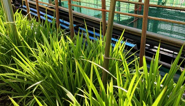 成果转化中的安装调试：关键环节与实践分析