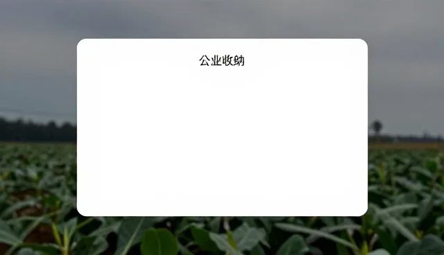 网络技术咨询中的设备兼容性比较与取舍