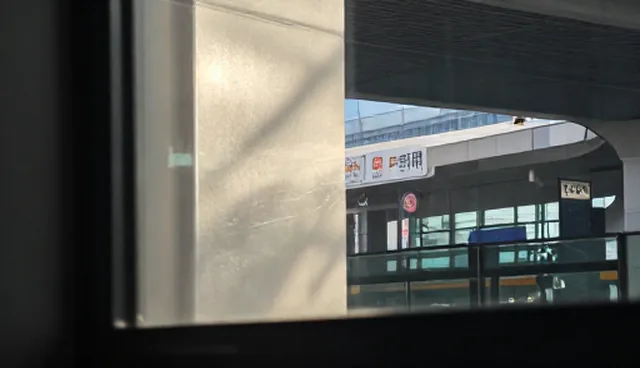 师资配置误区：避免过度依赖单一教学模式