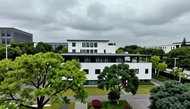 内容选型：广告设计如何精准匹配目标受众
