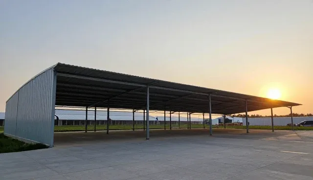 软件选型中的核心关注点与实践建议