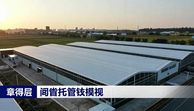客服支持系统选型需关注的五大关键要素