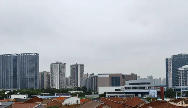 农业技术研发：传统方法与智能技术的对比与取舍