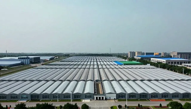 品牌咨询服务如何实现落地效果的场景化应用