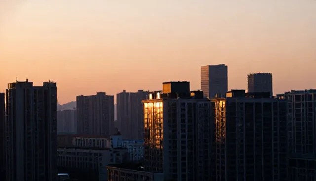 康复指导服务中用户参与度对康复效果的影响