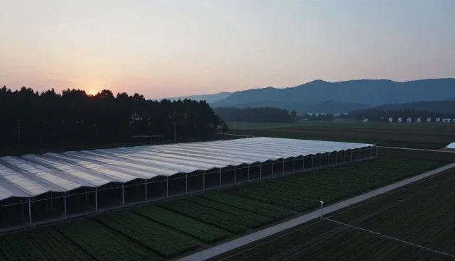 短视频拍摄中视频剪辑的关键作用与优化建议