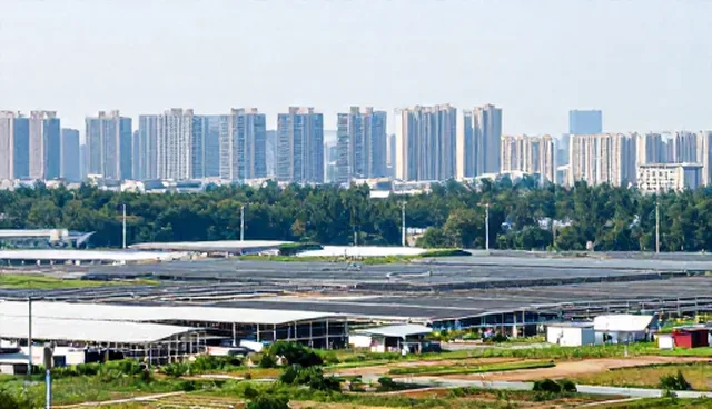 企业名录查询系统优化的适用条件与选择依据
