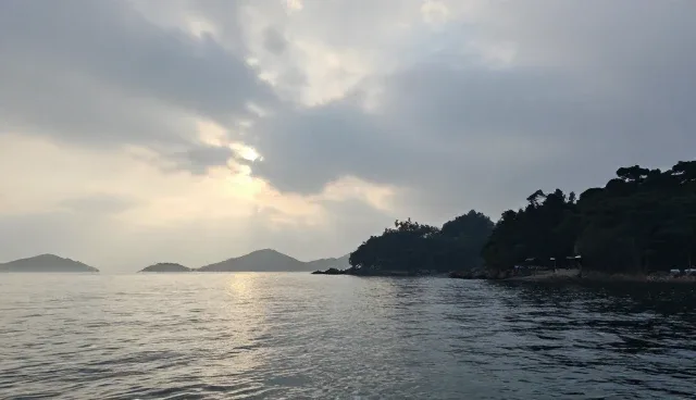 酒店预订中门票预订的检查要点与使用建议