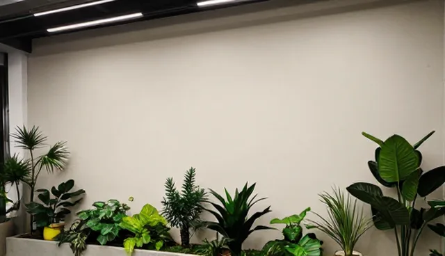 安装调试两种做法对比，如何选择更合适