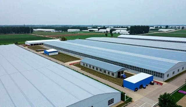 种苗供应业务如何借力基地合作提升预测精准度