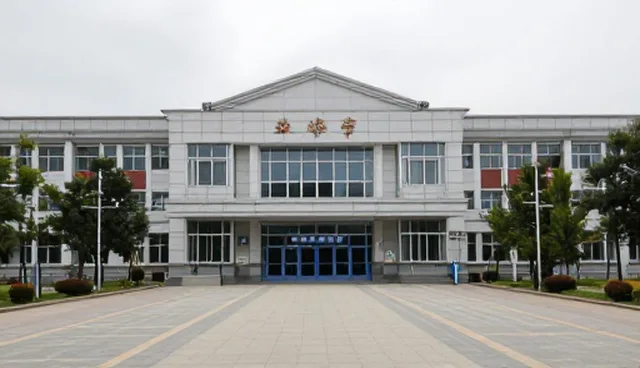 绿化养护服务在设施维护中的适用条件与选择依据