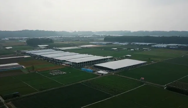 短视频制作中平面设计的应用场景与检查要点