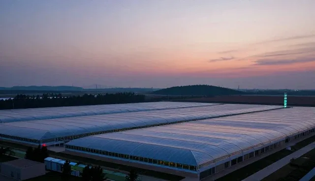 不同应用场景下安装调试技术咨询的性能差异分析