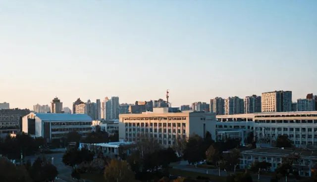 网站建设中企业信息管理系统应用的常见问题与限制