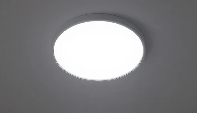 注册公司：使用与维护建议指南