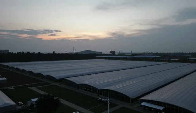 信息流动效率对业务流程优化的影响分析