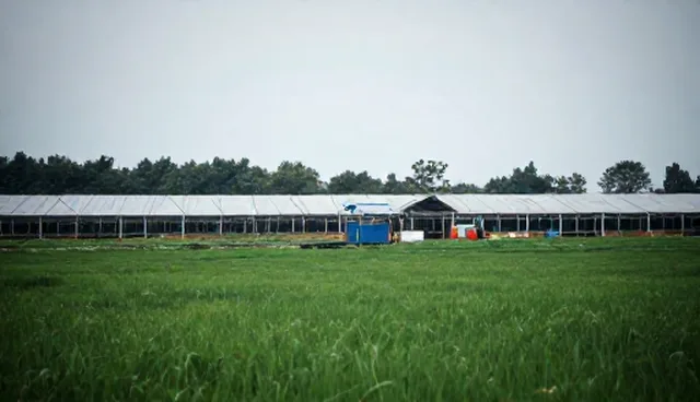 核对清单：设备选型时应关注的关键匹配点