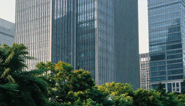 资源分配效率误区解析：招商加盟中的常见误解