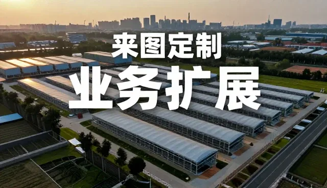 来图定制在批量生产中的实际应用与挑战