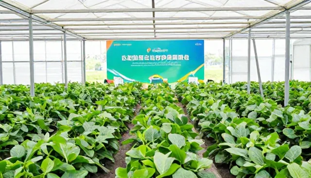 活动执行中细节把控对品牌策划效果的影响