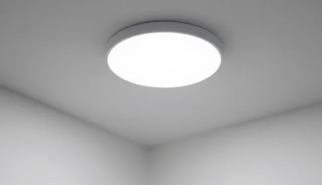 数据管理如何影响性能提升的两种路径选择