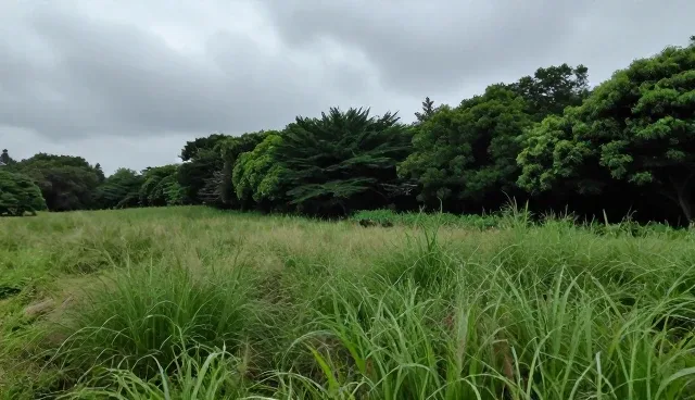企业网站搭建服务中优化方法的取舍对比