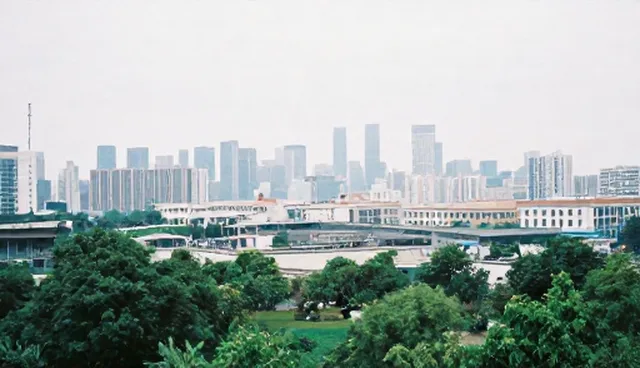 应用开发中的实际取舍：需求与实现的平衡