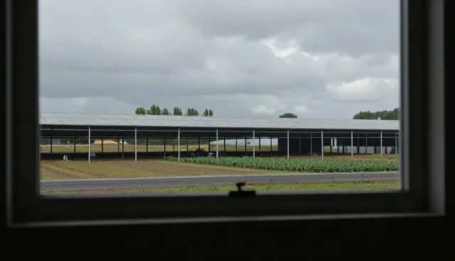 短视频文案创作中选型关注点的深层解析