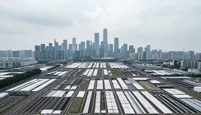数据质量对市场分析报告准确性的影响