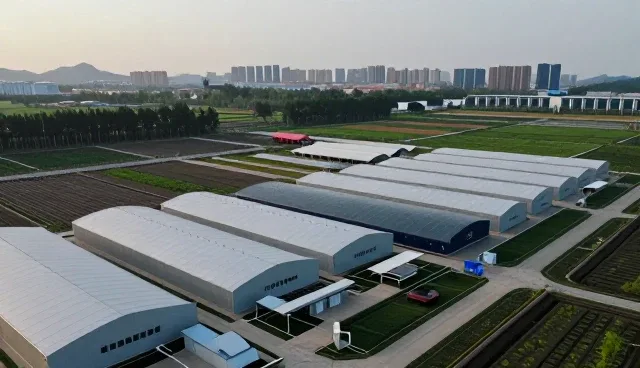 信息化场景适应性提升的业务趋势分析