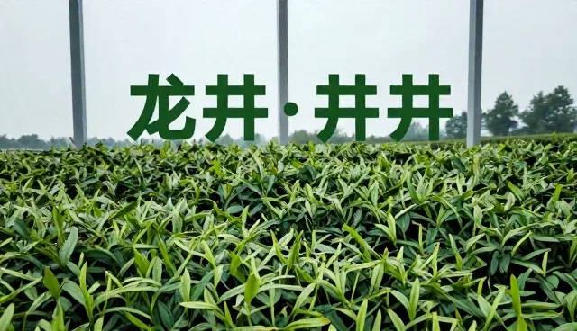 企业推广套餐信息维护的实用技巧与常见误区